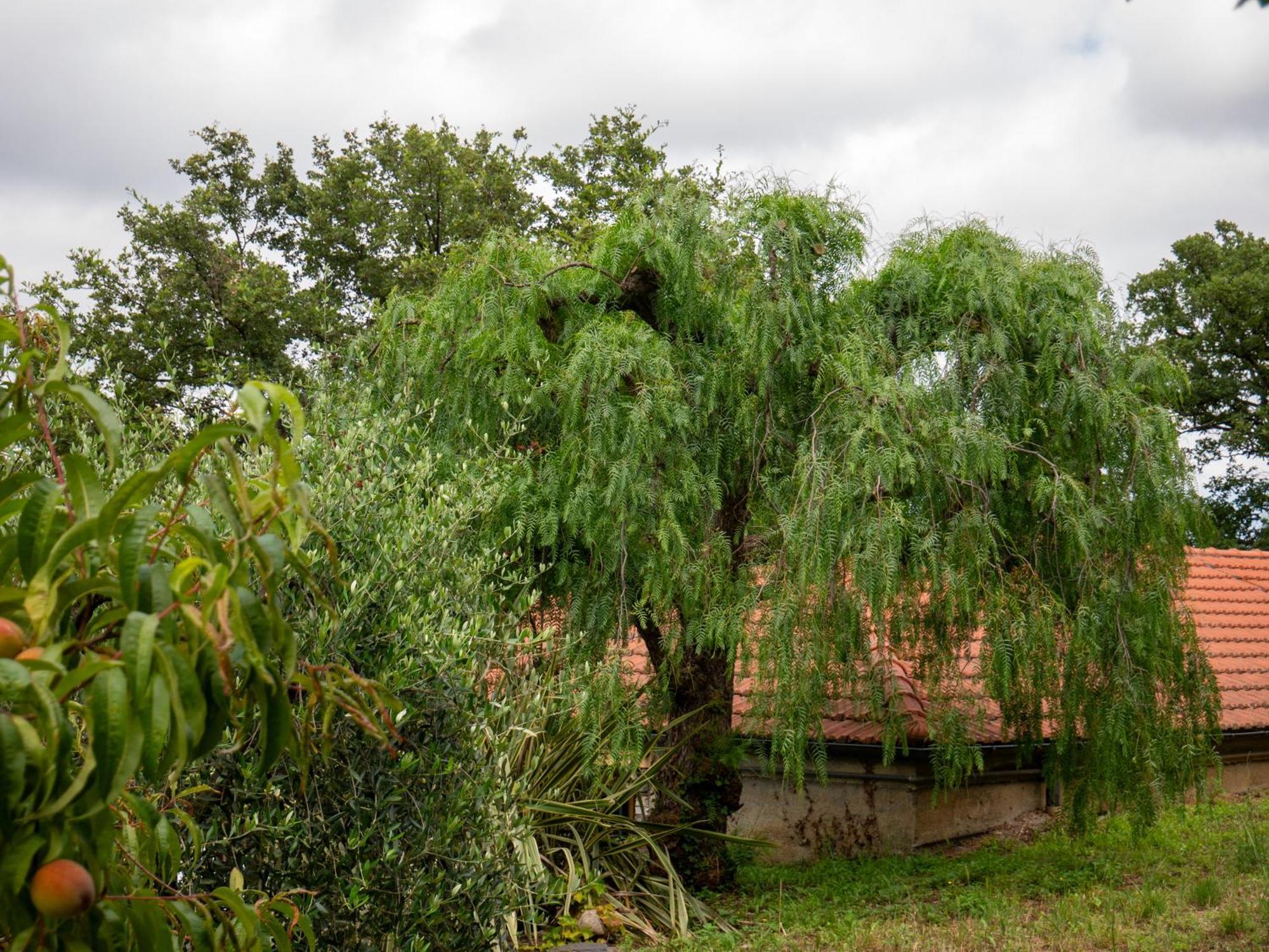 Agri Borgata Vallone - Apartments - By Host4U Lecchiore Esterno foto